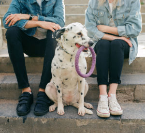 two people sit on steps behind a spotted Dalmatian